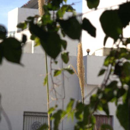 Residence Sterne Hammam al Ghazzaz Eksteriør bilde