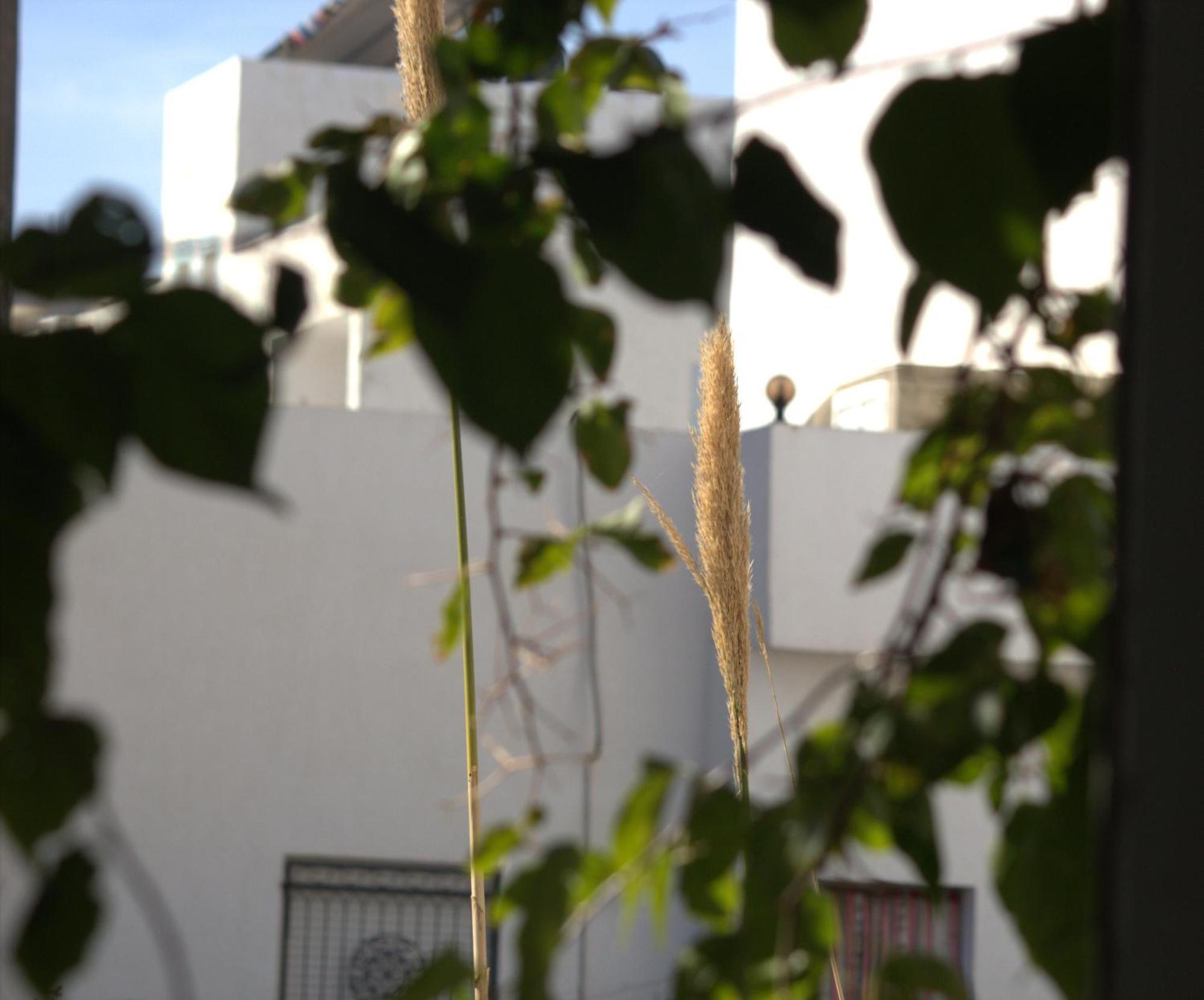 Residence Sterne Hammam al Ghazzaz Eksteriør bilde